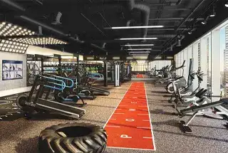 Outdoor Gym